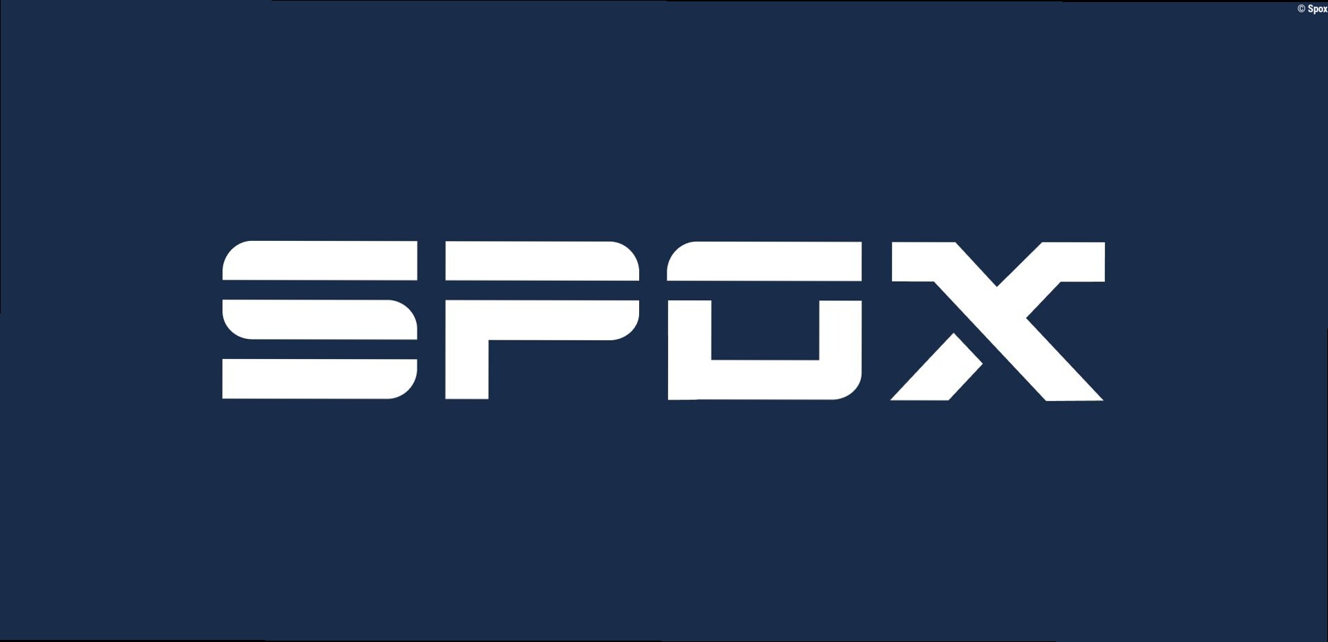 Käfig statt Ring: Warum wird in der UFC / bei MMA nicht wie beim Boxen gekämpft?