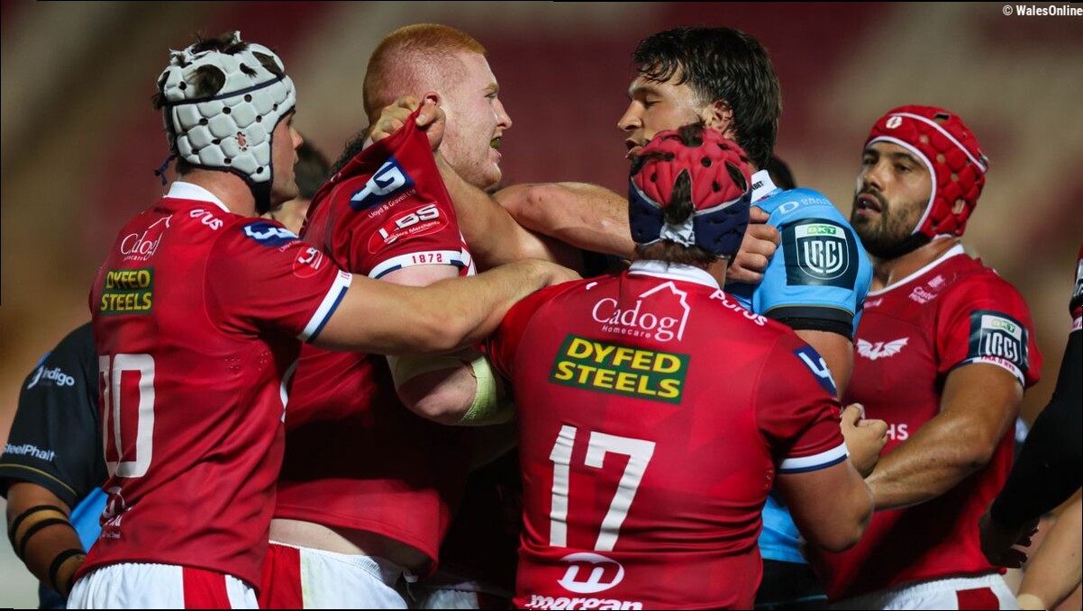 Scarlets v Cardiff ratings as 'outstanding' Wales duo shine on derby night