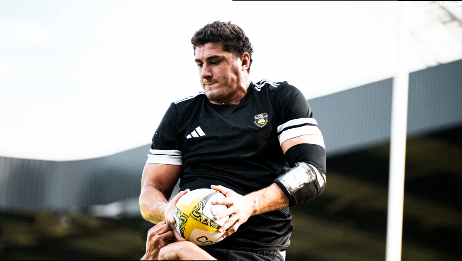 Stade Rochelais : Boudehent, McFarland et Nowell postulent pour la réception de Clermont