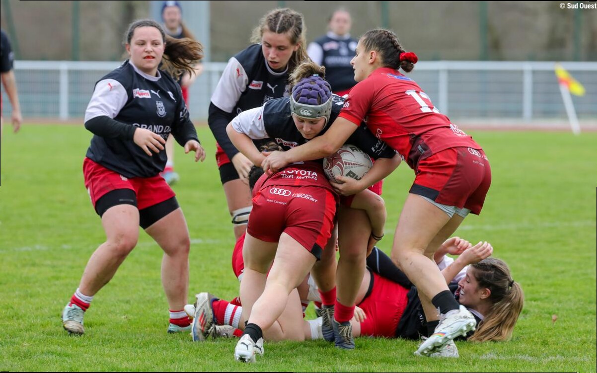 Rugby. Les Pachys de Dax jettent l'éponge : anatomie d'une chute inexorable, entre manque de moyens et problème de management