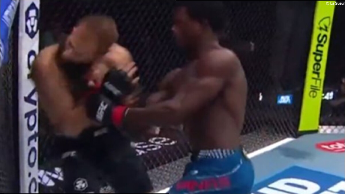 UFC 332 : Damian Pinas s'impose en 1 minute