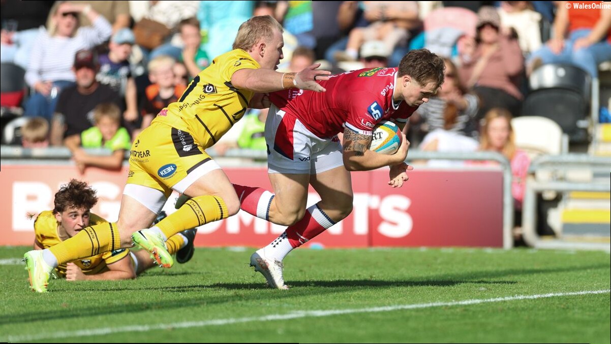 Welsh rugby's winners and losers as uncapped Wales bolter emerges from wreckage