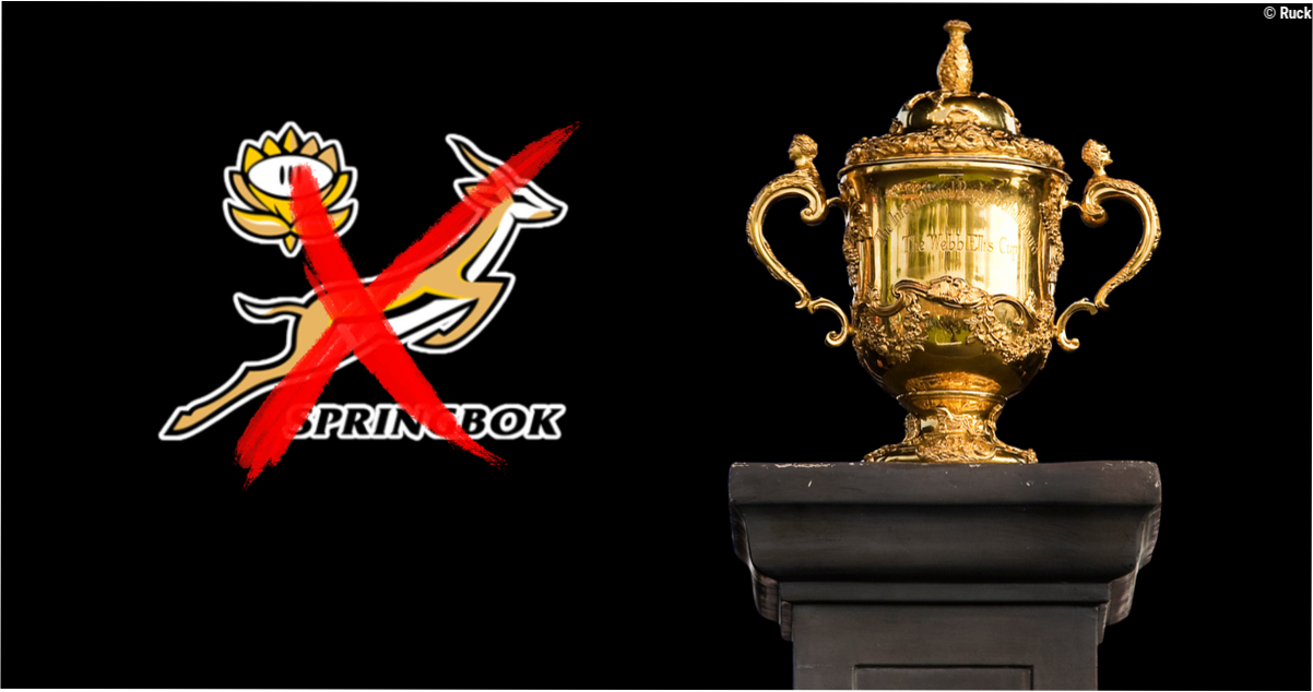 Springboks' Rugby World Cup hosting hopes suffer major blow