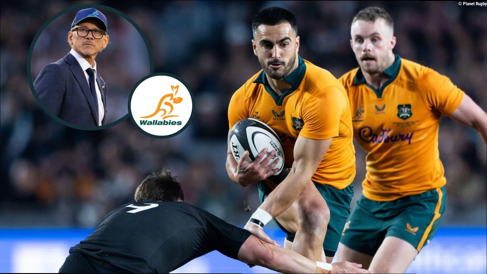 Les Kiss backs Wallabies to 'return fire' in Bledisloe Cup rematch in Sydney after heavy Eden Park defeat