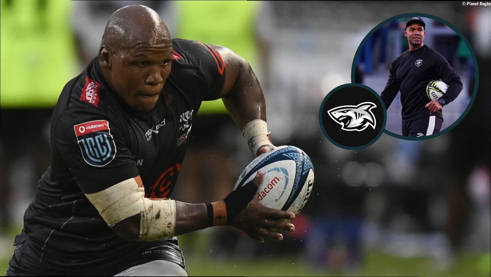 Springboks' double World Cup winner in trouble at the Sharks due to ill-discipline – report