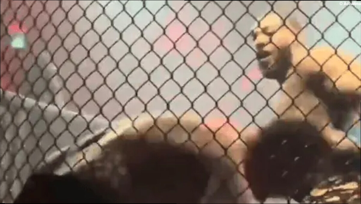 Le fils de Michael Bisping subit un terrible K.-O. pour sa première défaite en MMA (vidéo)