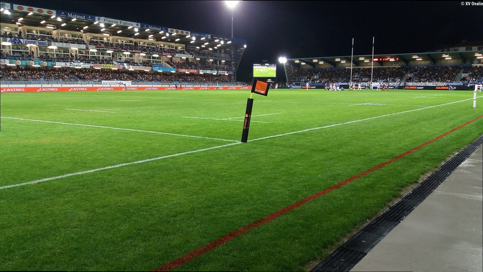 En fin de contrat à Castres, Tom Staniforth attire LOU, Bayonne, Toulon et Clermont