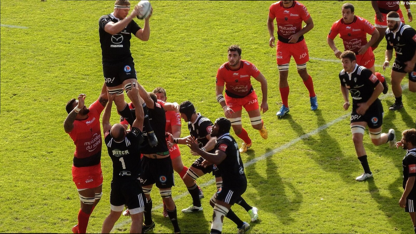 Privé de John Cooney, Brive récupérerait Gauthier Doubrère en prêt de Castres