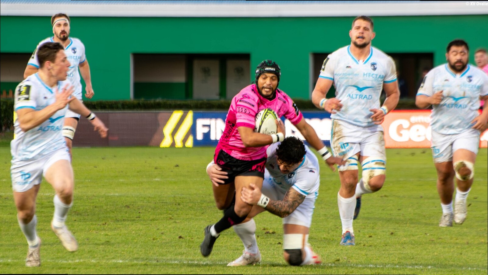 Montpellier et le Stade français se disputent Alexis Bernadet, demi de mêlée en fin de contrat