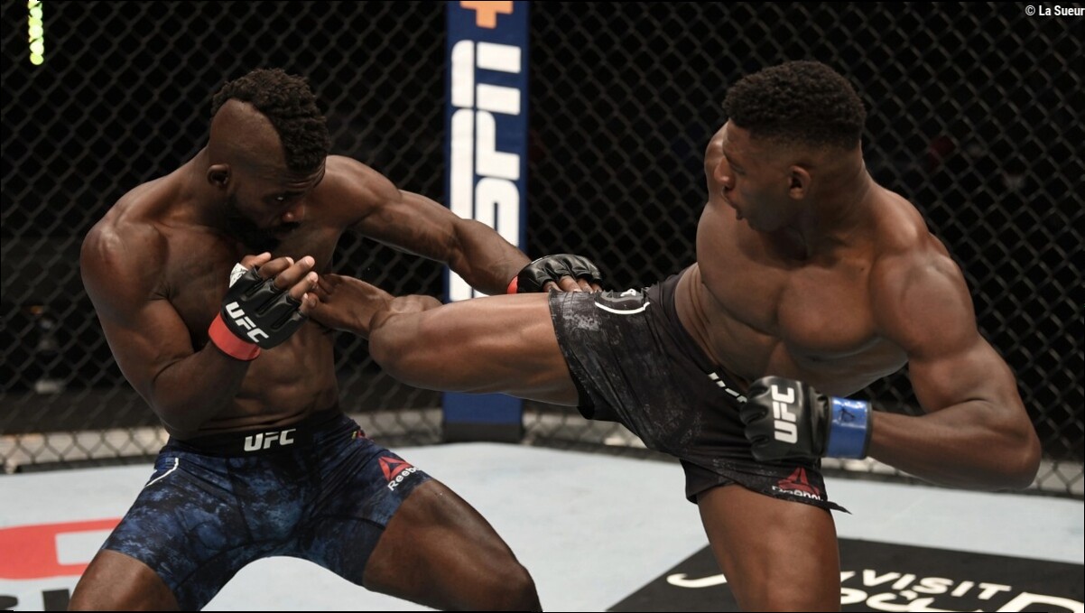 Le détenteur du K.O. de l'année 2020 annonce sa retraite de l'UFC