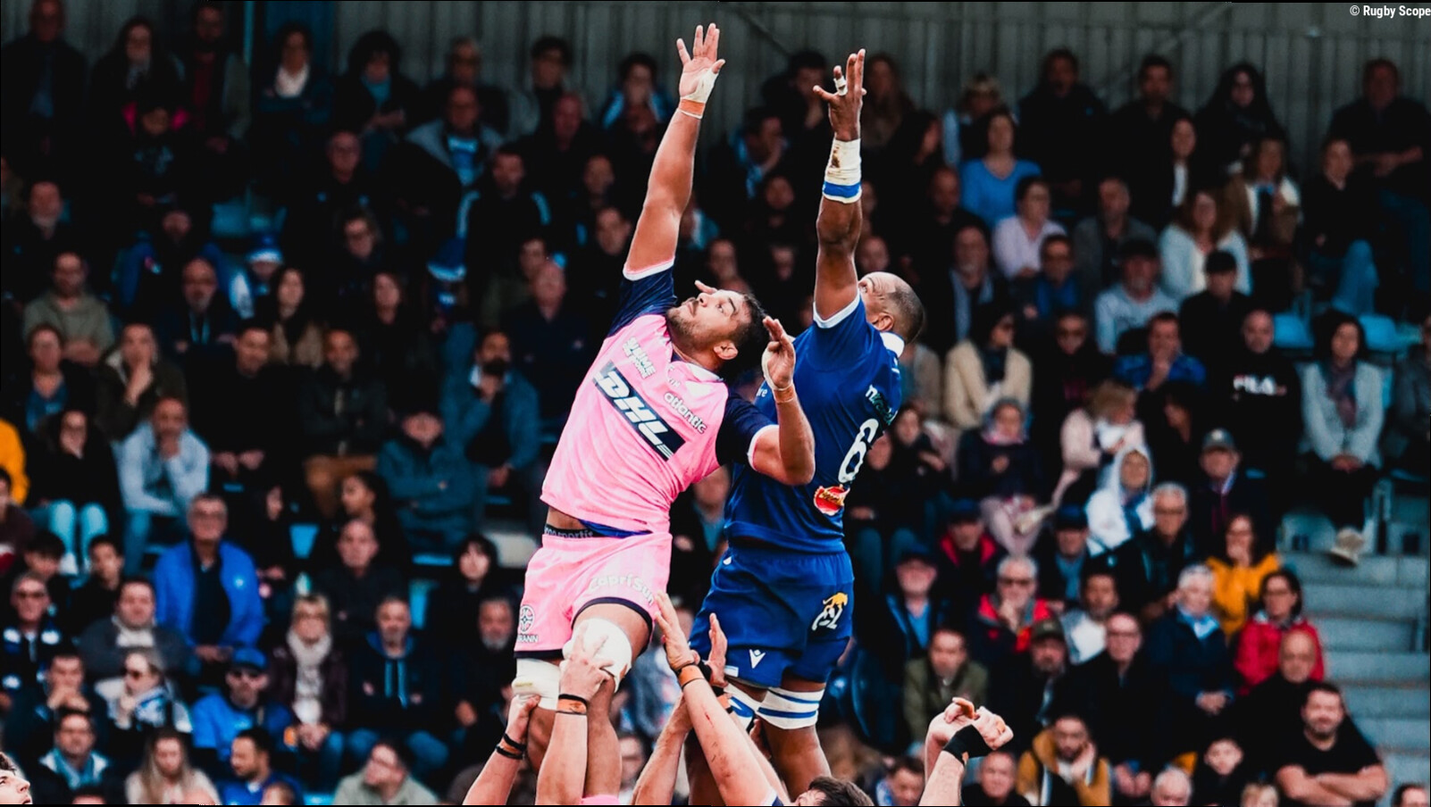 Top 14. Castres retrouve la victoire face au Stade Français