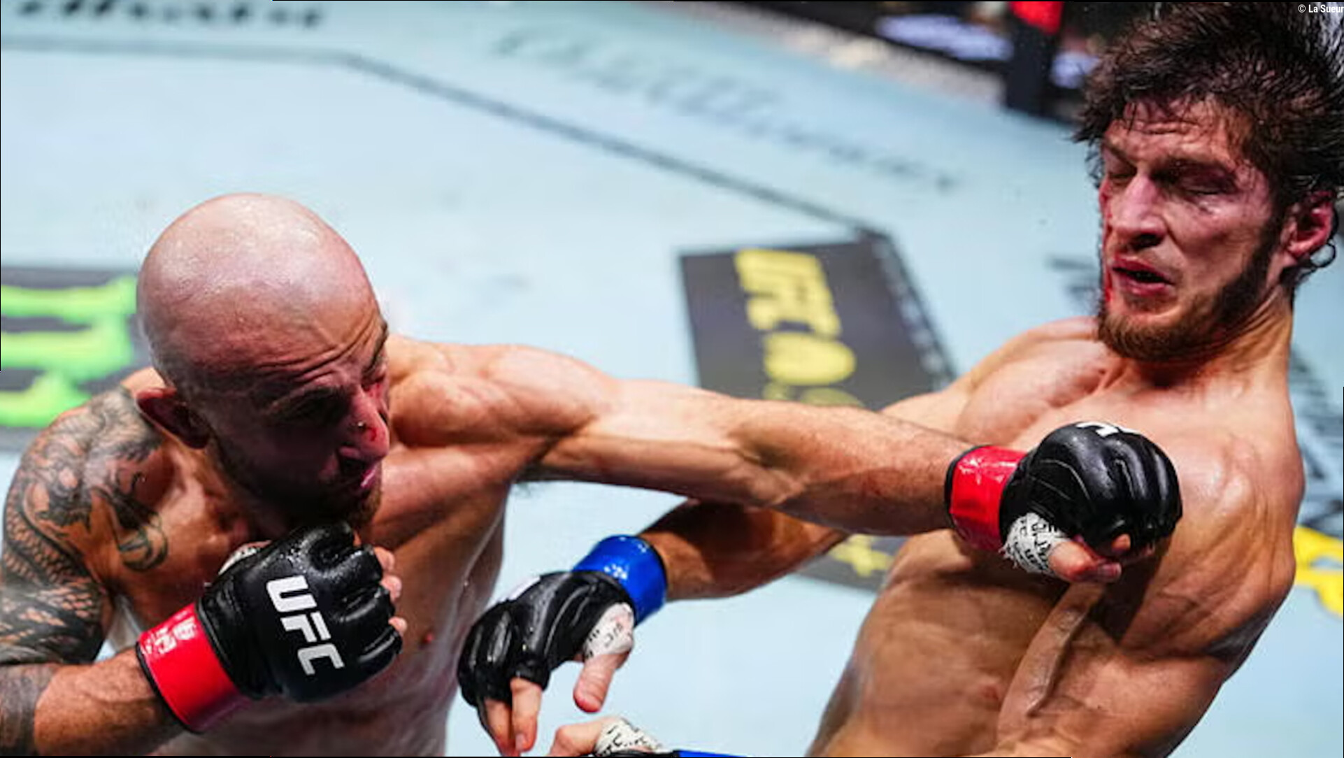 Movsar Evloev brise le silence après sa première défaite en carrière : « Volkanovski est une légende »