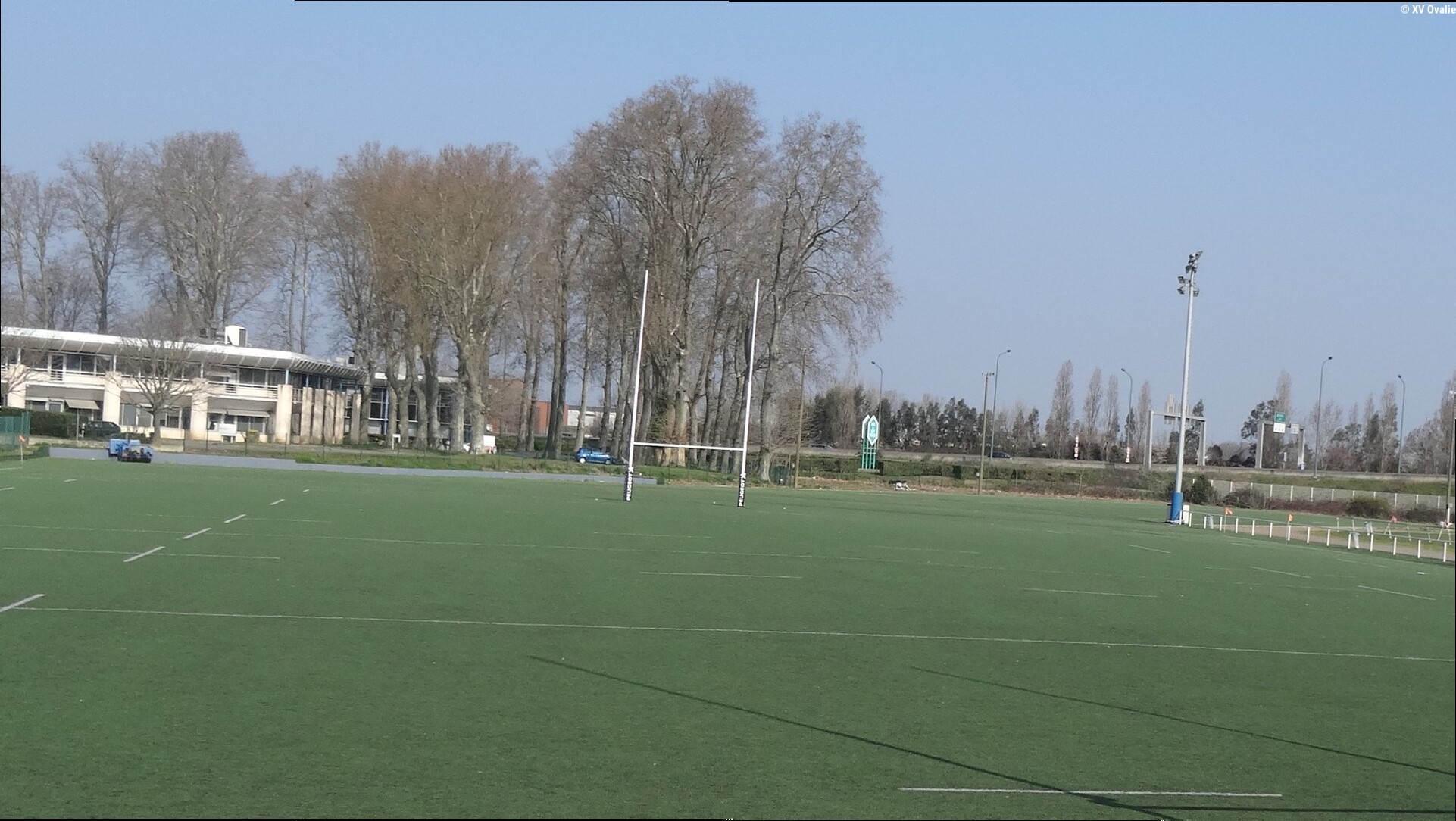 Commotionné contre l'USAP, Dorian Aldegheri pourrait manquer le déplacement de Toulouse à Pau