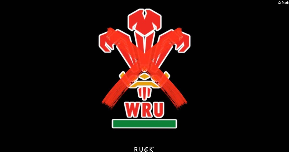 24 Wales players stood down with immediate effect