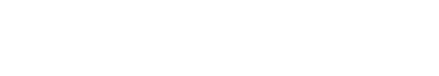 thevisitor